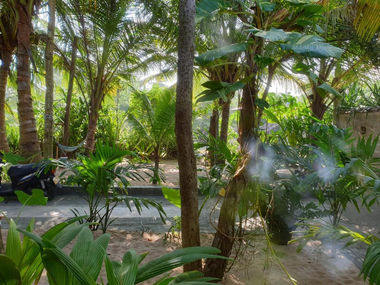 טנגלה Gems Garden Guest House מראה חיצוני תמונה